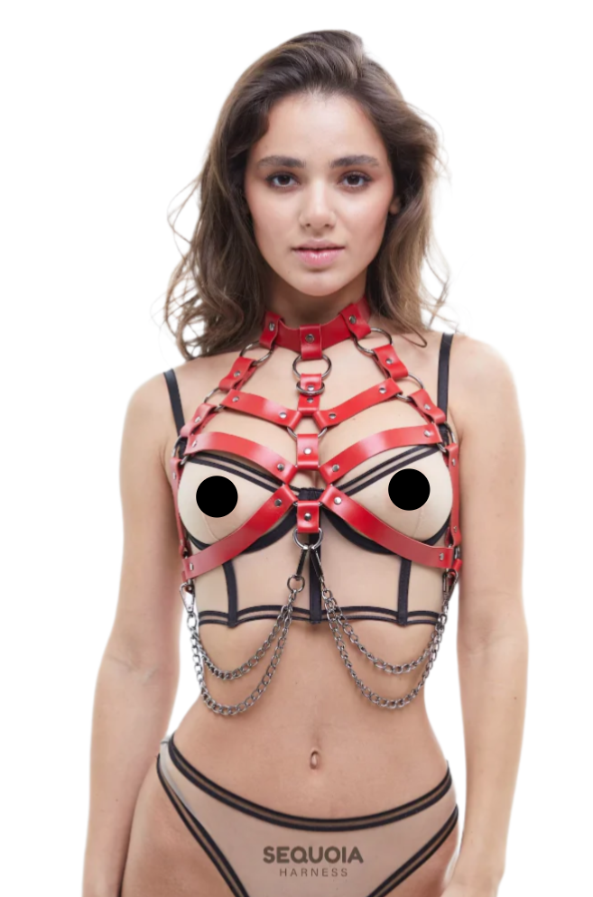 red leather harness