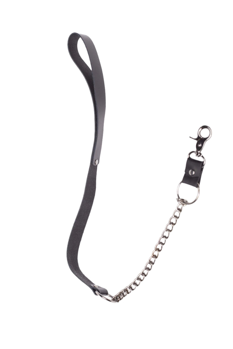 Leather & Chain Leash – Sequoia Harness